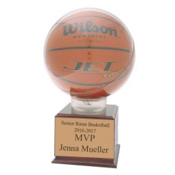 Basketball Holder on Pedestal