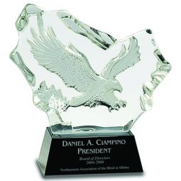 Eagle Crystal Award