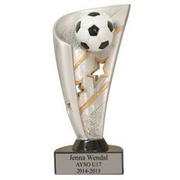 Soccer Banner Award