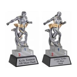 Track Award