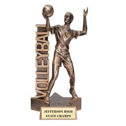 Volleyball Billboard Award