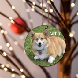 Pet Photo Ornament